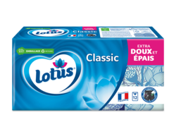 Lotus Classic Etuis x12