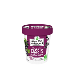 Sorbet BIO Cassis de Bourgogne