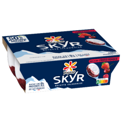Yoplait Skyr Fruits Rouges 100g x4