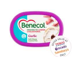Garlic Soft Cheese
