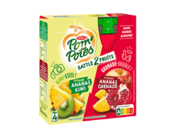 P. Ananas Kiwi/P. Ananas Grenade 4x90g