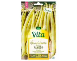 Haricot beurre Ramdor Vita de Vilmorin