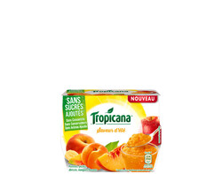 Desserts de fruits Saveur d'été 4x95g