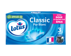 Lotus Pur Blanc Boite x80