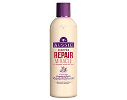 Repair Miracle 