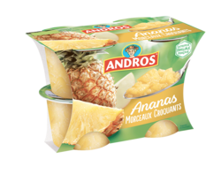 Ananas Morceaux 4x100g