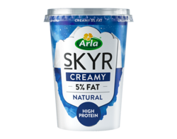 Creamy Yogurt 450g