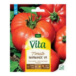 TOMATE MARMANDE VR