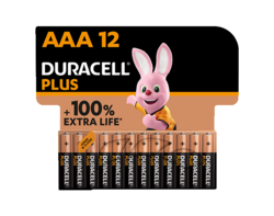 Duracell Plus 100% AAA X12