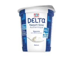 Delta Yaourt Grec 10% 400g