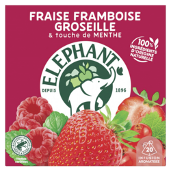 Infusion Fraise Framboise Groseille