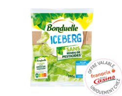 Iceberg Bonduelle