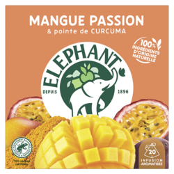 Infusion Mangue Passion