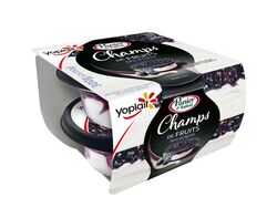 Champs de Fruits Baies de myrtilles