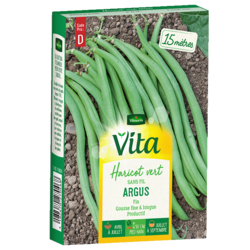 HARICOT ARGUS  - SEMIS POUR 15M
