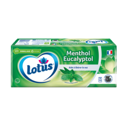 Lotus Menthol Eucalyptol Etuis X15