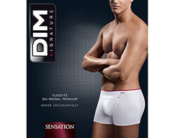 Boxer Modal
