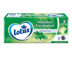 Lotus Menthol Eucalyptol Etuis x15