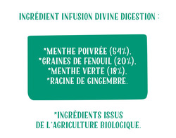 Ingrédients Infusion Divine Digestion