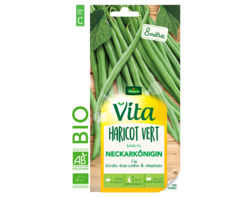 Haricot Neckarkönigin Bio Vita de Vilmorin