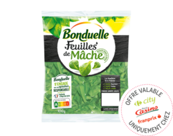 Feuilles de Mâche Bonduelle