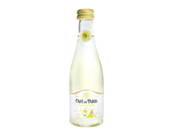 Wine Seltzer Saveur Fleur de Sureau 20cl