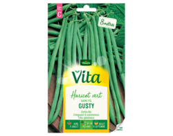 Haricot vert Gusty Vita de Vilmorin