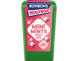 Mini Mints Parfum Fruits D'été - 12,5g