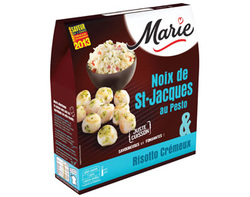 Noix de Saint Jacques au Pesto & Risotto crémeux