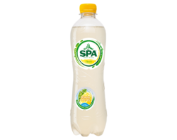SPA FRUIT Lemon Cactus 50cl  