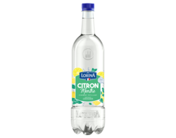Plaisir Fruité Citron Menthe
