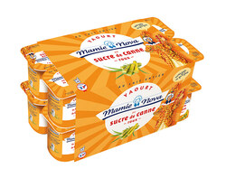 Yaourt au Sucre de Canne Roux x16