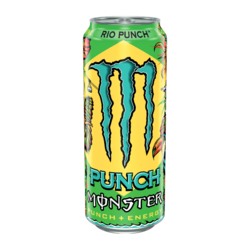 Rio Punch 500ml