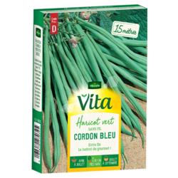 Haricot Cordon bleu Vita de Vilmorin