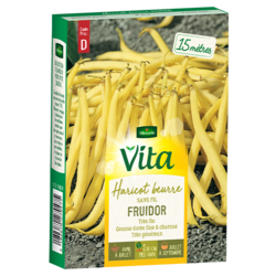 Haricot beurre sans fil Fruidor Vita Vilmorin