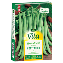 Haricot Contender Vita de Vilmorin