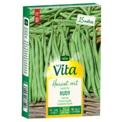 Haricot Rudy Vita de Vilmorin