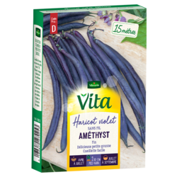 Haricot Amethyst Vita de Vilmorin