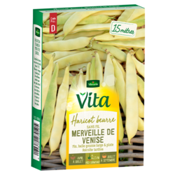 Haricot beurre sans fil Merveille de Venise