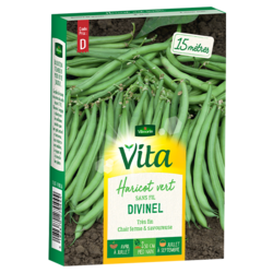 Haricot Divinel Vita de Vilmorin
