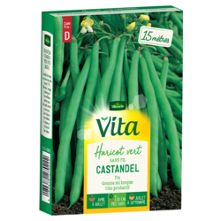 Haricot Castandel Vita de Vilmorin