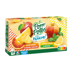 Pomme Ananas Orange sanguine et Pomme Citron Menthe 12*90g