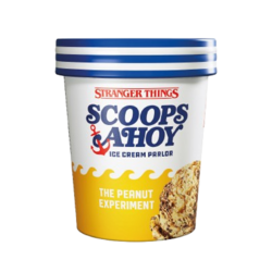 Pot de glace Cacahuète Stranger Things x Netflix