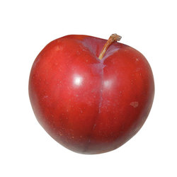 ESTIVA® Friandise